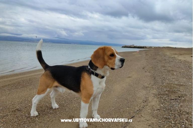 Apartmány Tomasović Omiš – foto 17