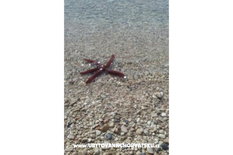 Apartmány Višnja – foto 40