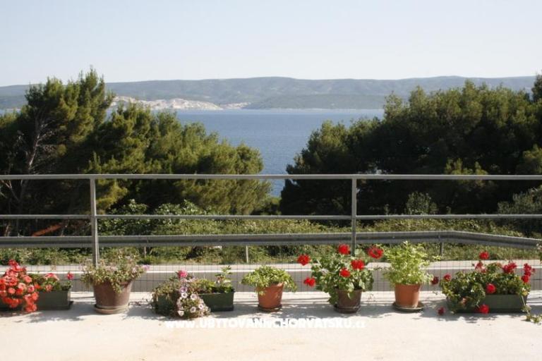 Apartmány Višnja – foto 2
