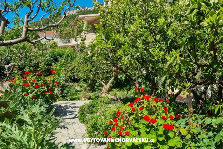 Apartmány Diridonda – foto 43