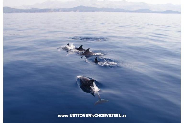 Apartmány Kadenca – foto 17