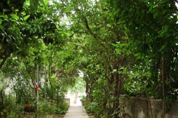 Apartmány Mare – foto 7