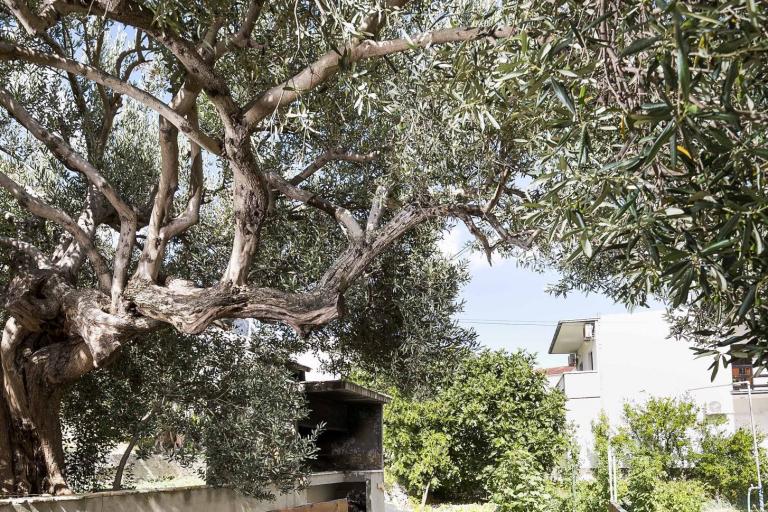 Apartmány Martic – foto 5