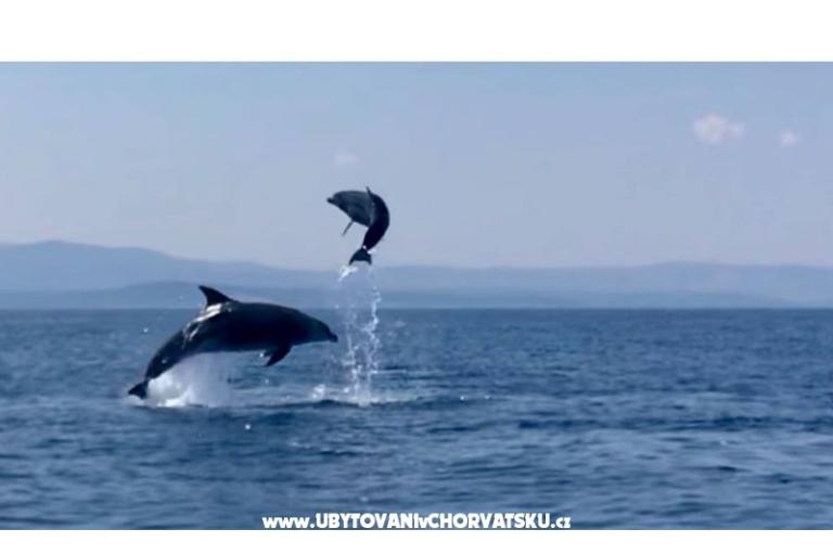 Apartmány Zora  – foto 18