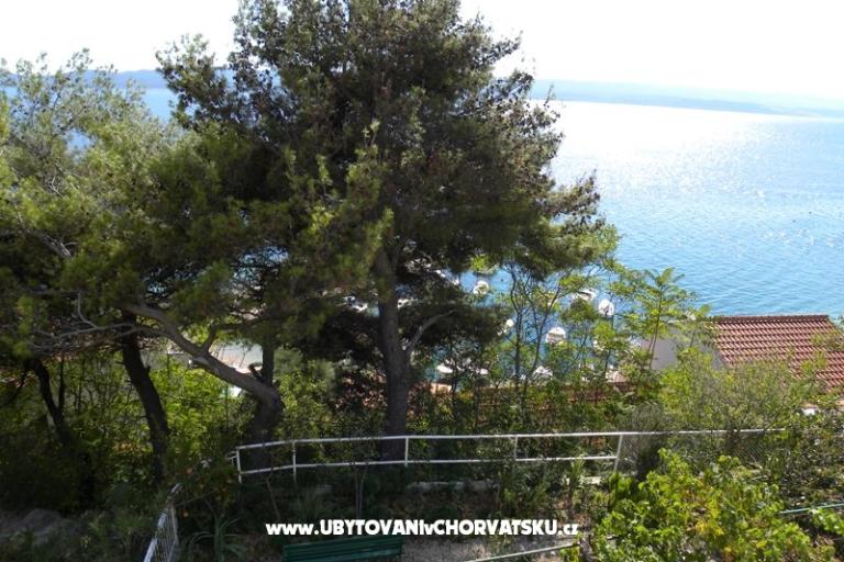 Boženka Dům – foto 4