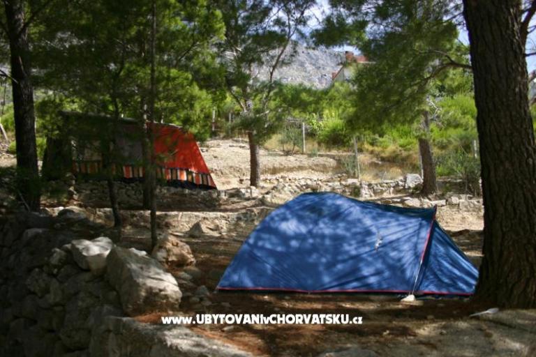 Kemp Artina – foto 2