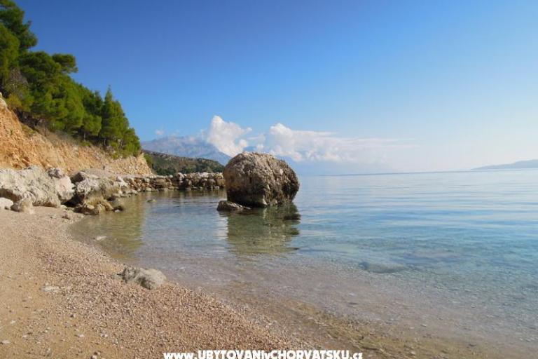 Kemp Artina – foto 7