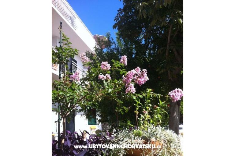 Dům Kuzmanić – foto 6