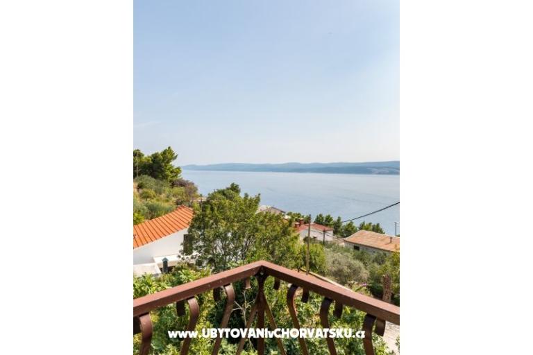 Palfeys  – foto 14