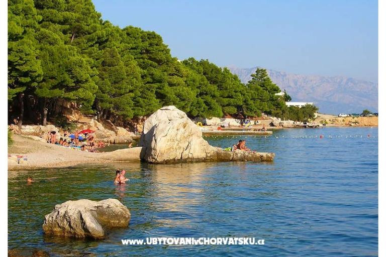 Vila Barbara – foto 13