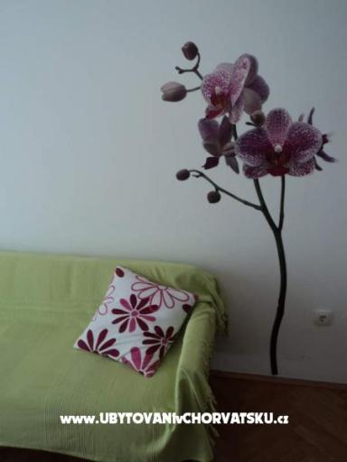 Vila Danica – foto 2
