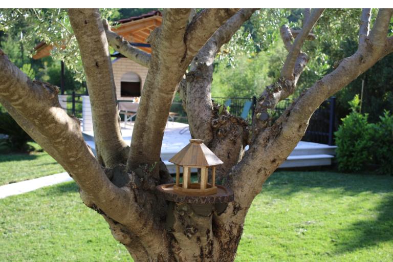 Vila Musa – foto 26