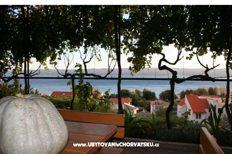 Villa Brigita – foto 9