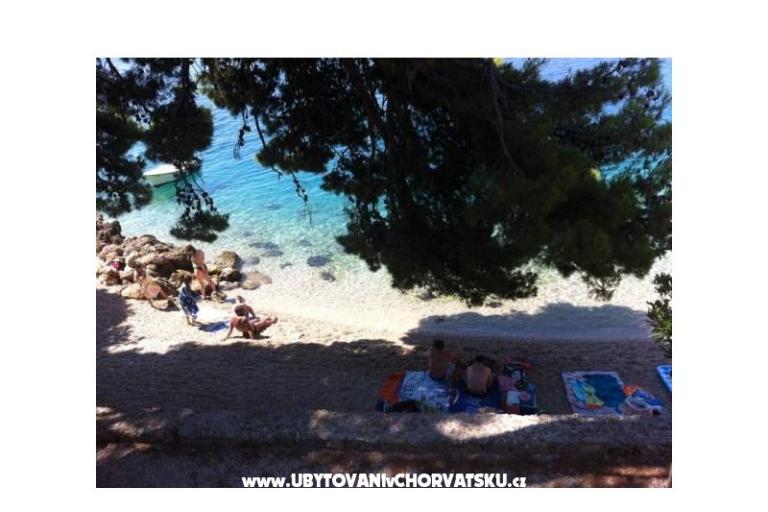 Villa Burin – foto 13