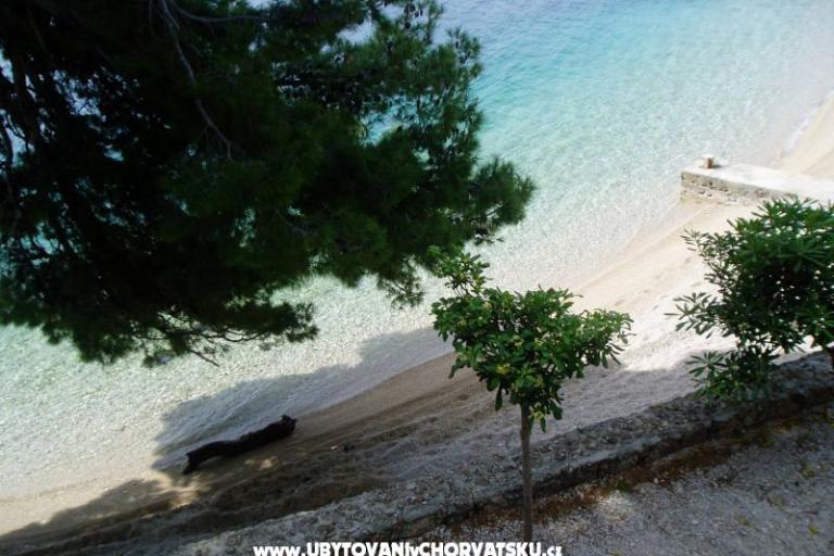 Villa Burin – foto 7