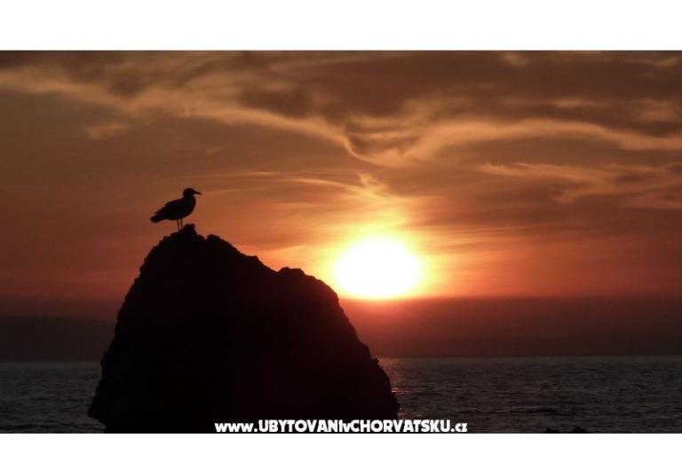 Villa Iva - beach, sea, sun – foto 6