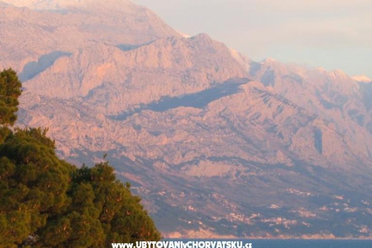 Villa Mandolina – foto 8