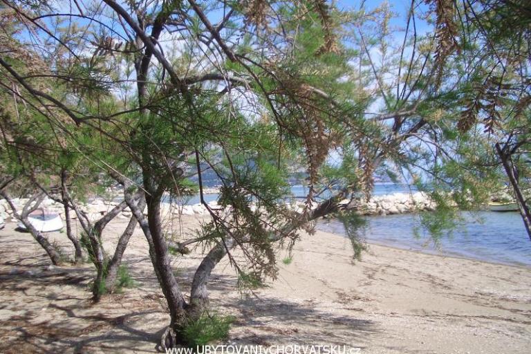 Villa Marija – foto 8