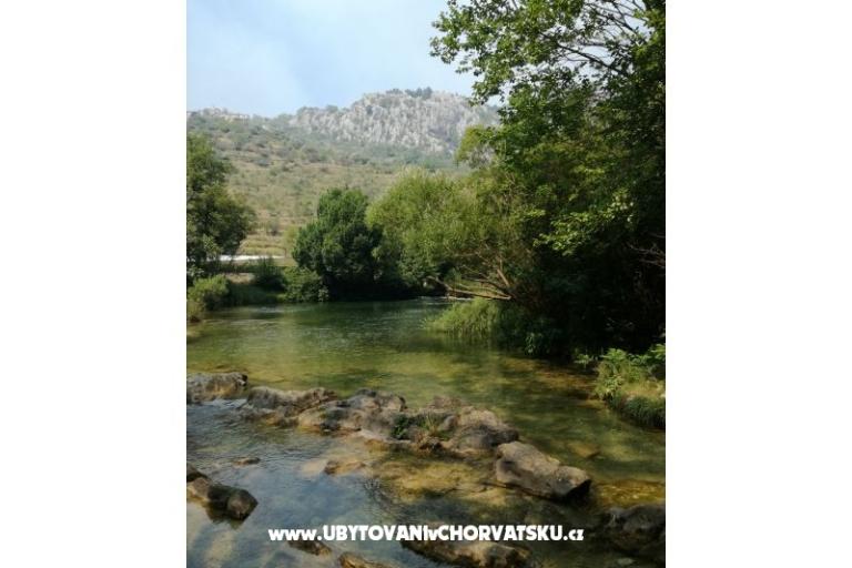 Villa Musini Dvori – foto 12