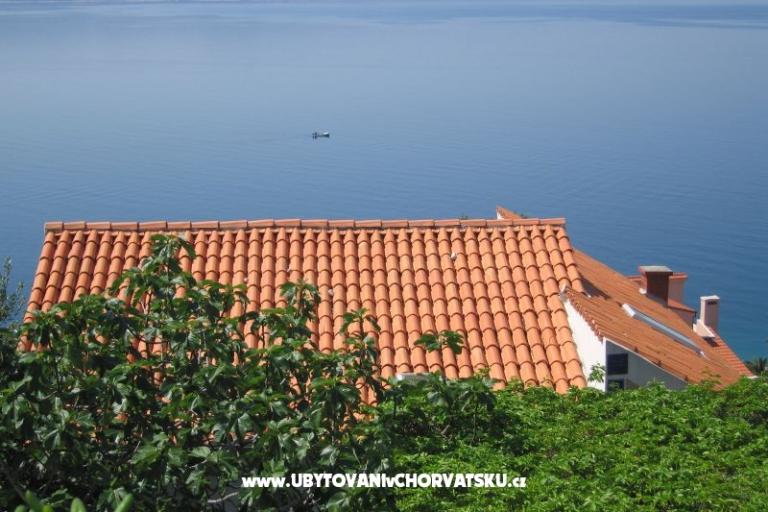 Villa Irma – foto 4