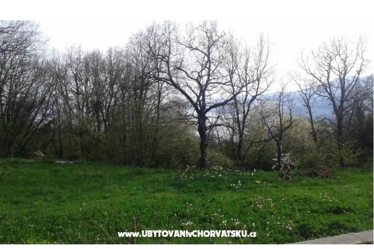 Apartmán AS ROYAL – foto 4