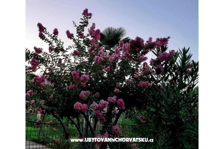 Apartmán Rubin – foto 16