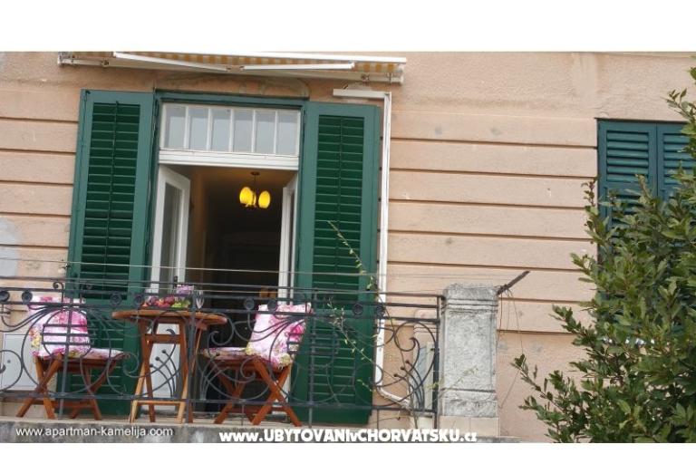 Apartmán Kamelija – foto 14