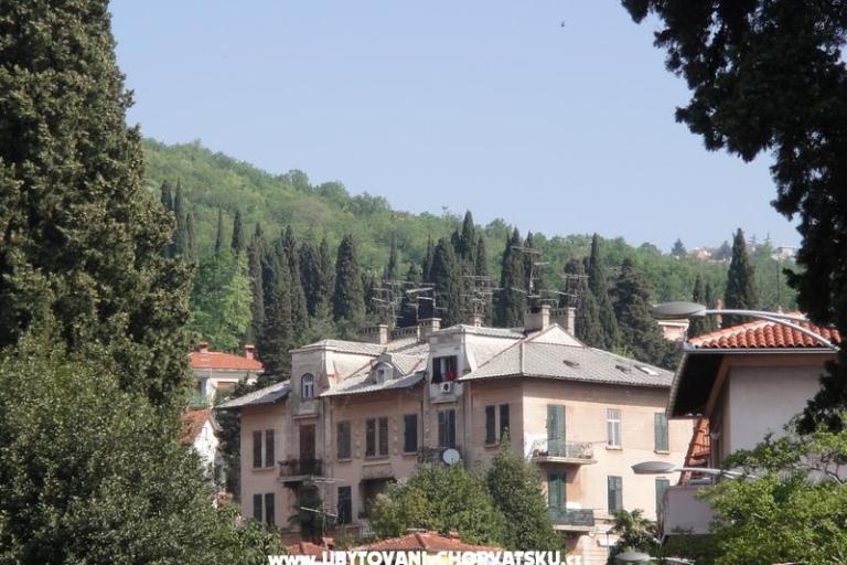 Apartmán Kamelija – foto 15