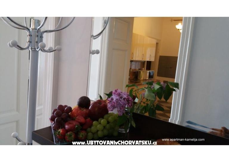 Apartmán Kamelija – foto 9