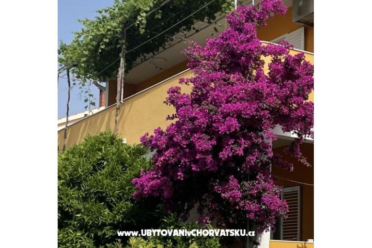 Apartmány  Ante – foto 10