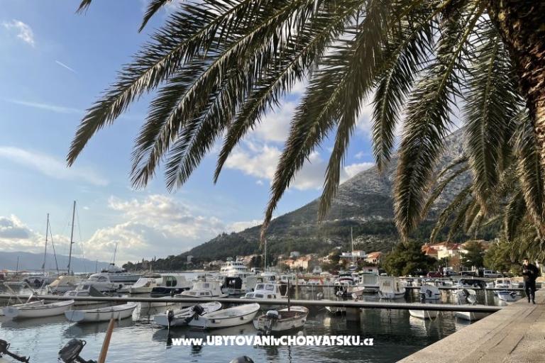 Apartmány  Ante – foto 22