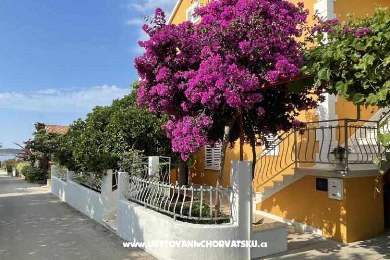 Apartmány  Ante – foto 8