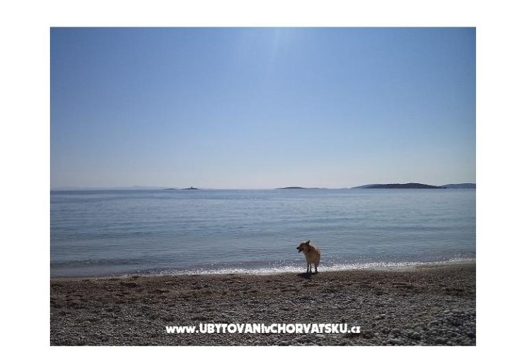 Apartmány Mali Raj – foto 6