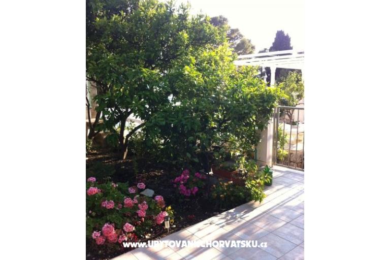 Apartmány surf in Viganj – foto 15