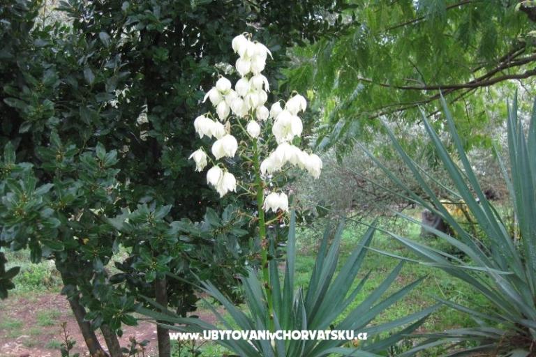 Apartmány Mratović – foto 6