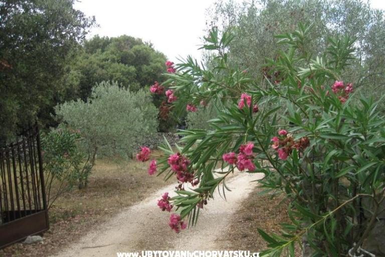 Apartmány Mratović – foto 8