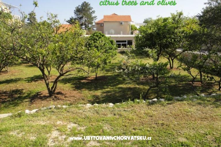 Apartmány Pretner – foto 14