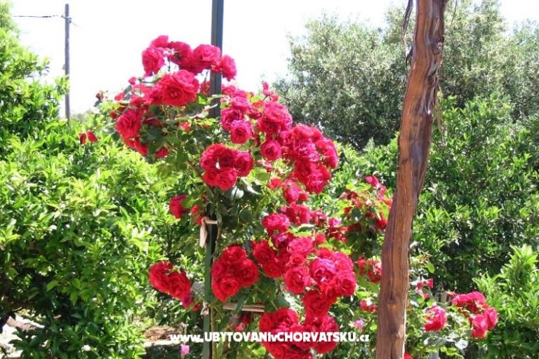 Apartmány Marijela – foto 3