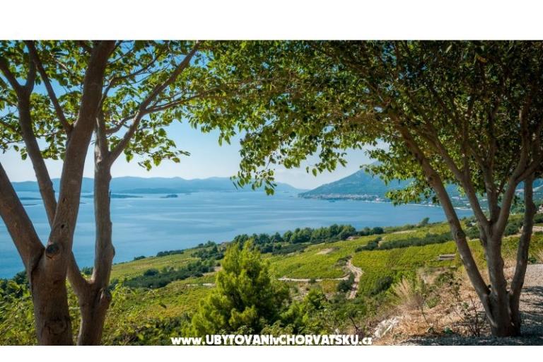 Apartmány Sveti Anton Orebic – foto 10