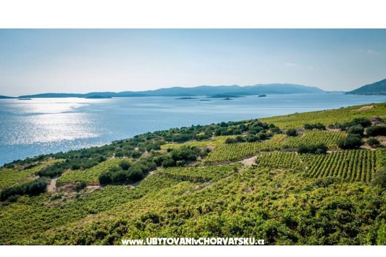 Apartmány Sveti Anton Orebic – foto 12