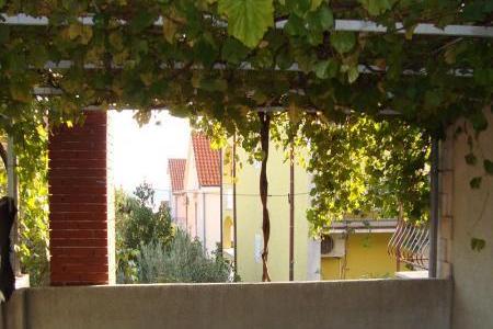 Dalmatina – foto 4