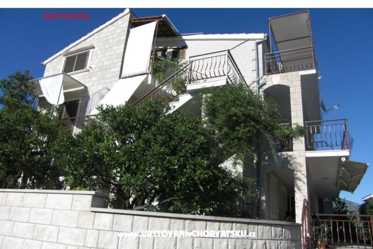 Dalmatina – foto 6