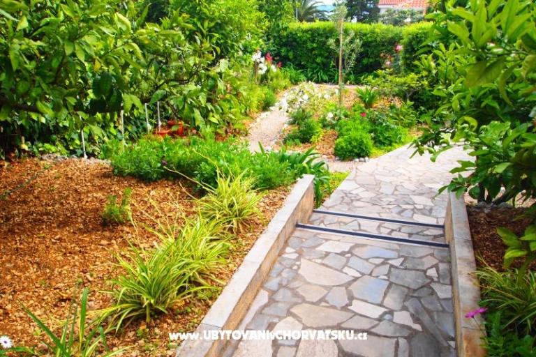 Villa Fani – foto 5