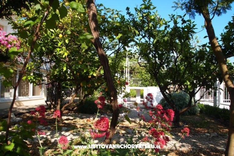 Villa Fani – foto 6