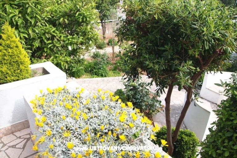 Villa Fani – foto 8