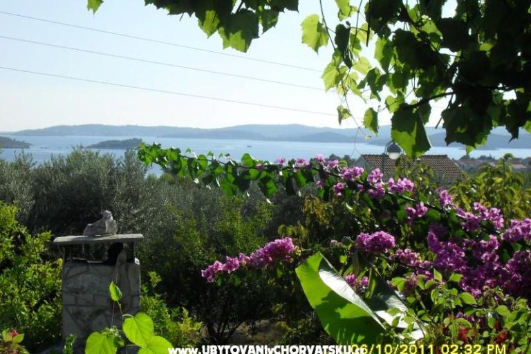 Villa Lea – foto 2