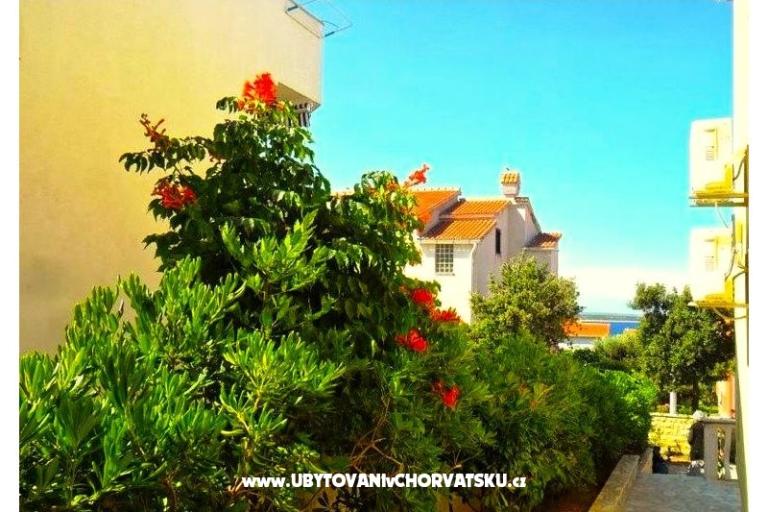 Apartmány Glaser – foto 11