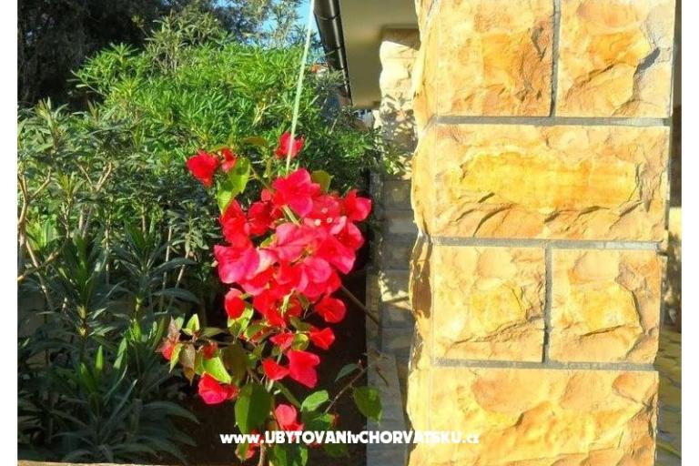 Apartmány Glaser – foto 13