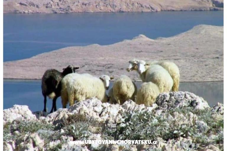 Apartmány Lili – foto 44