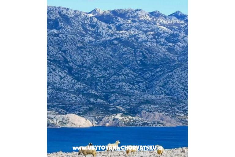 Apartmány Lili – foto 45